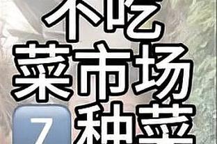 蓝狐队魂！37岁瓦尔迪效力狐狸城12年获5冠，队史射手王+助攻王